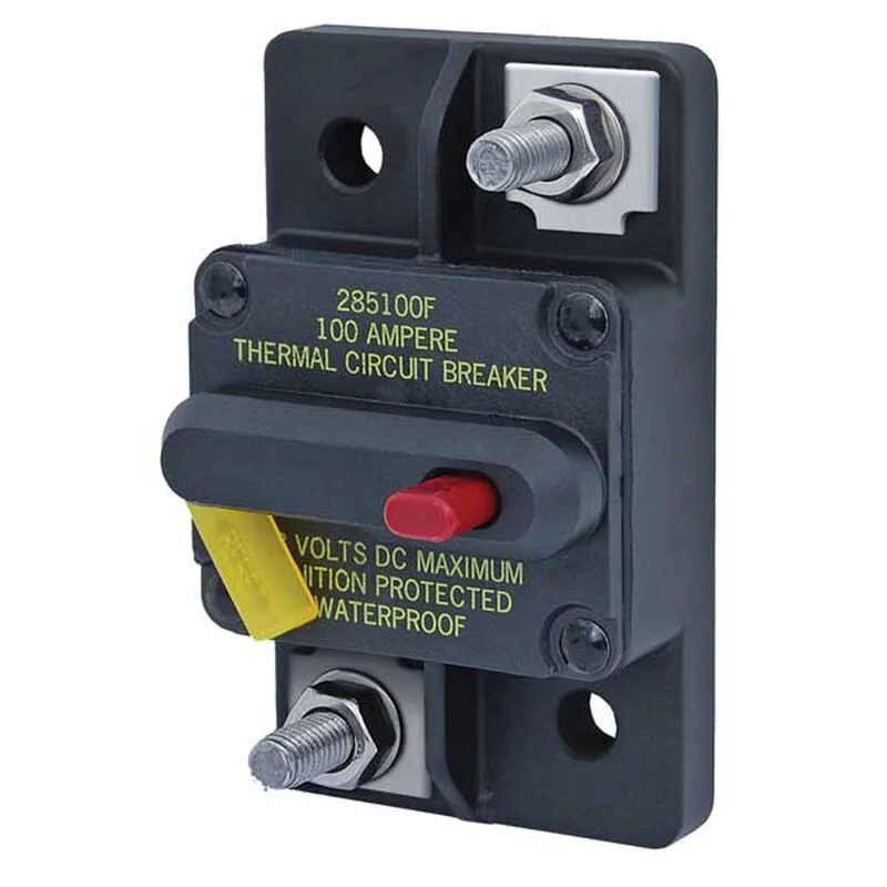 BSS Circuit Breaker 60 AMP