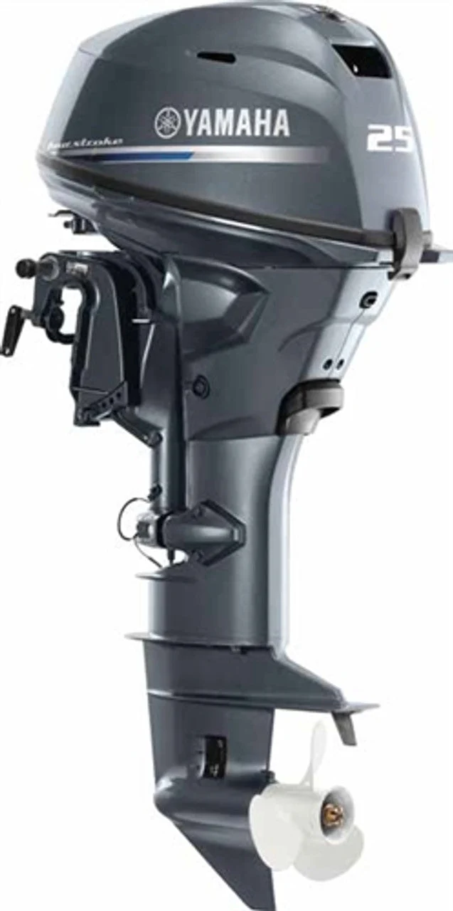 YAM F25LC