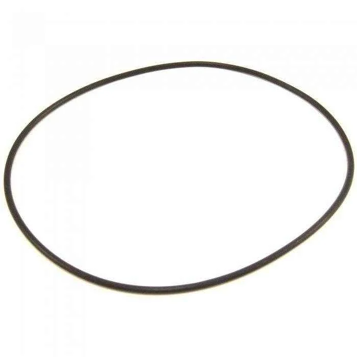 O-Ring #261 75 Duro Viton F/Discharge | Raritan AM114