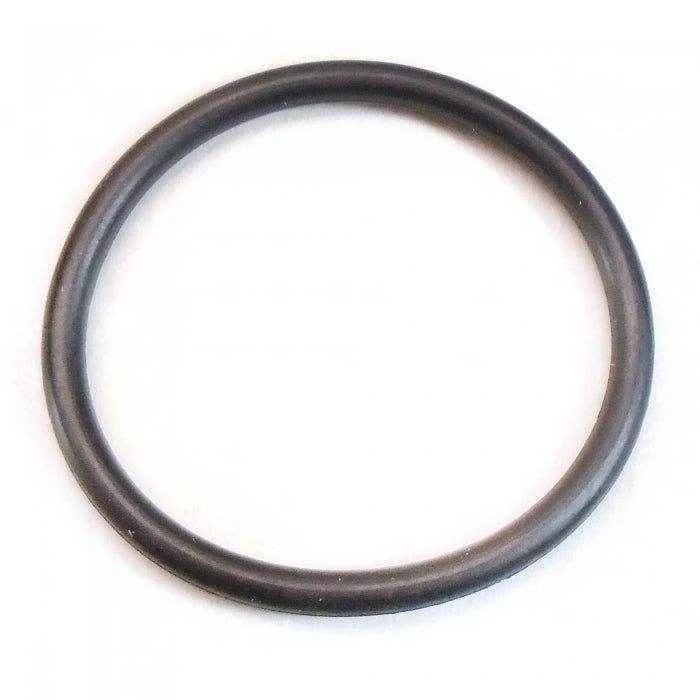 O-Ring | Sierra 18-7409