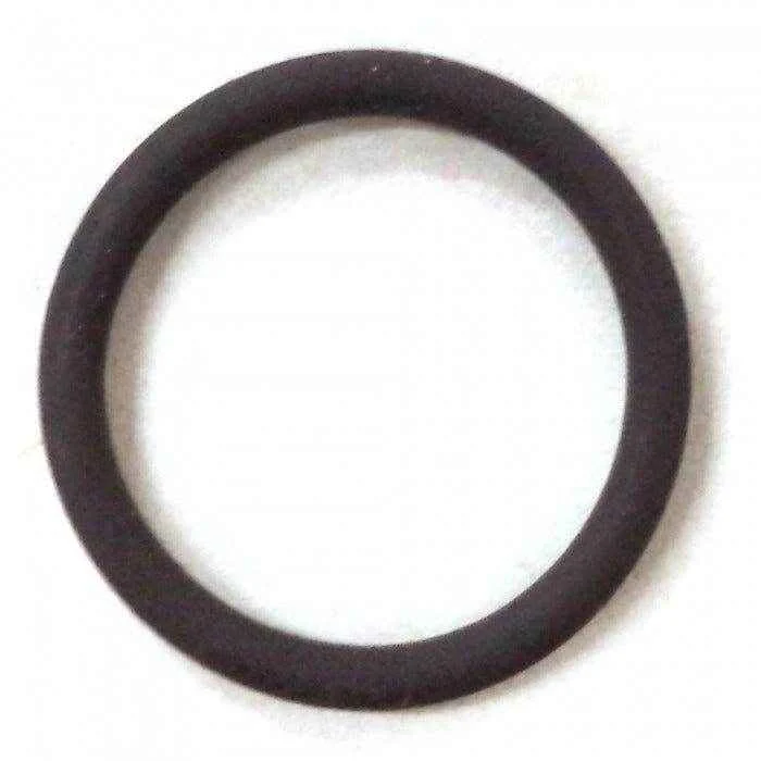 O-Ring | Volvo 3850819