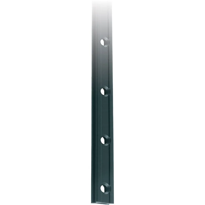 Ronstan Series 19 Ball Bearing Mast Track 2 Metres