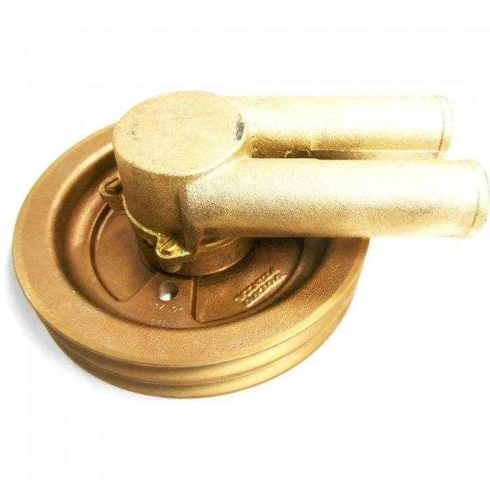 Raw Water Pump Crank Driven  | BRP 3858229
