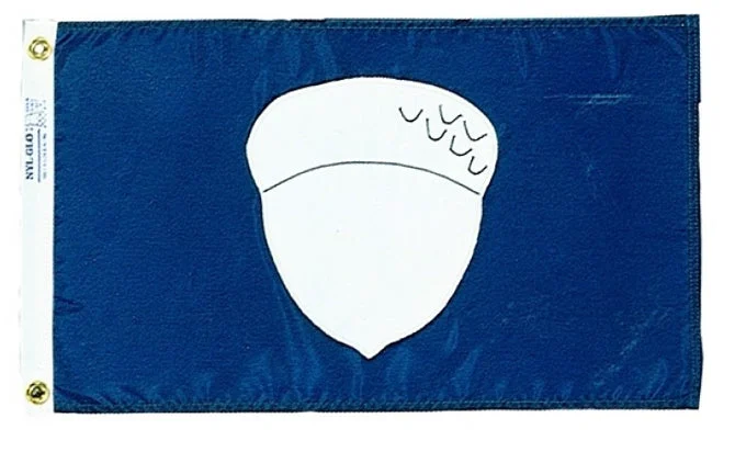 Annin Treasurer Office - Screen Printed Nylon Flag - 12" x 18"