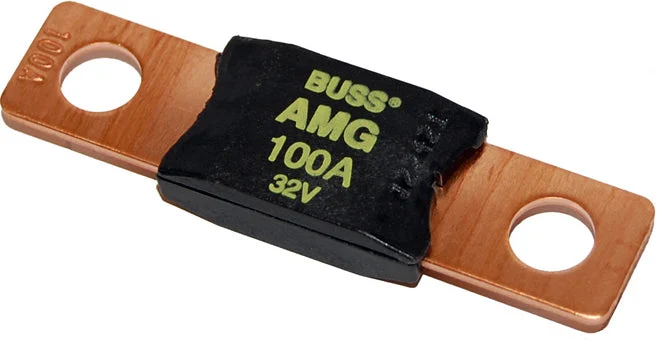 BSS MEGA/AMG Fuse - 100A