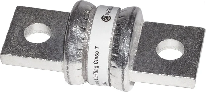 BSS Class T Fuse - 300A