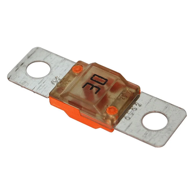 BSS AMI/MIDI Fuse - 30 Amp (2/PK)
