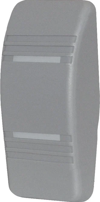 BSS Contura Actuator Two Lenses - Gray