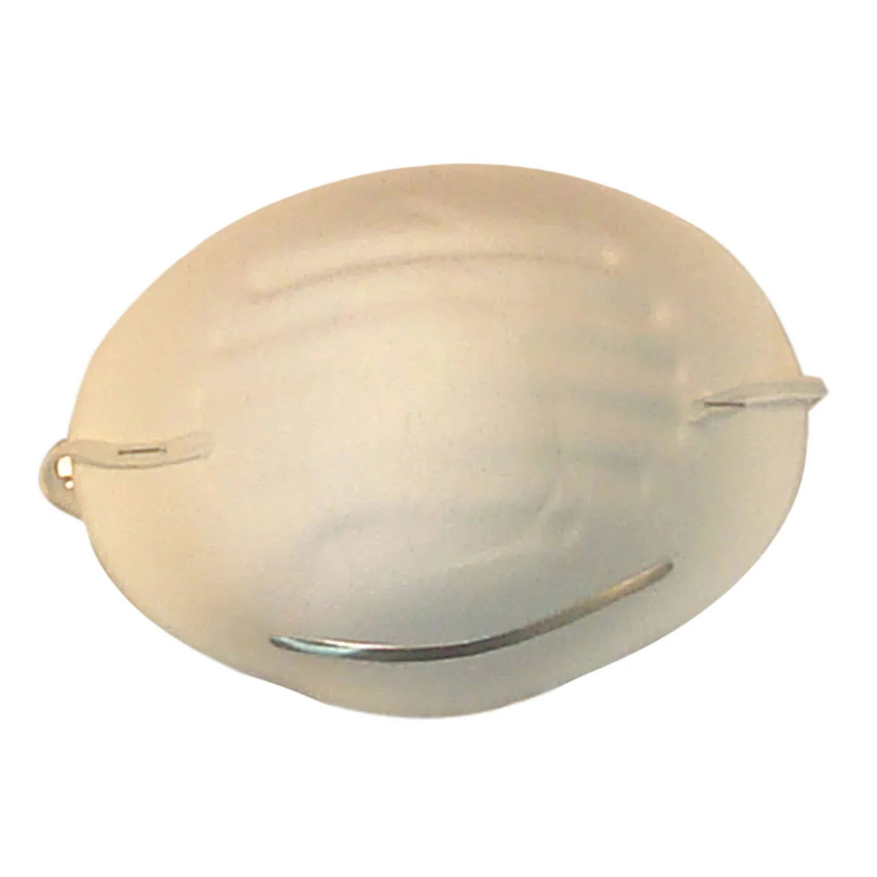 Redtree Industries 50103 Dust Mask - 50 Pack - 50103