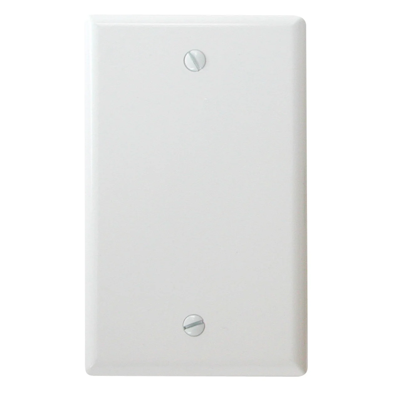Diamond Group by Valterra DG52489VP Blank Standard Wall Plate - White - DG52489VP