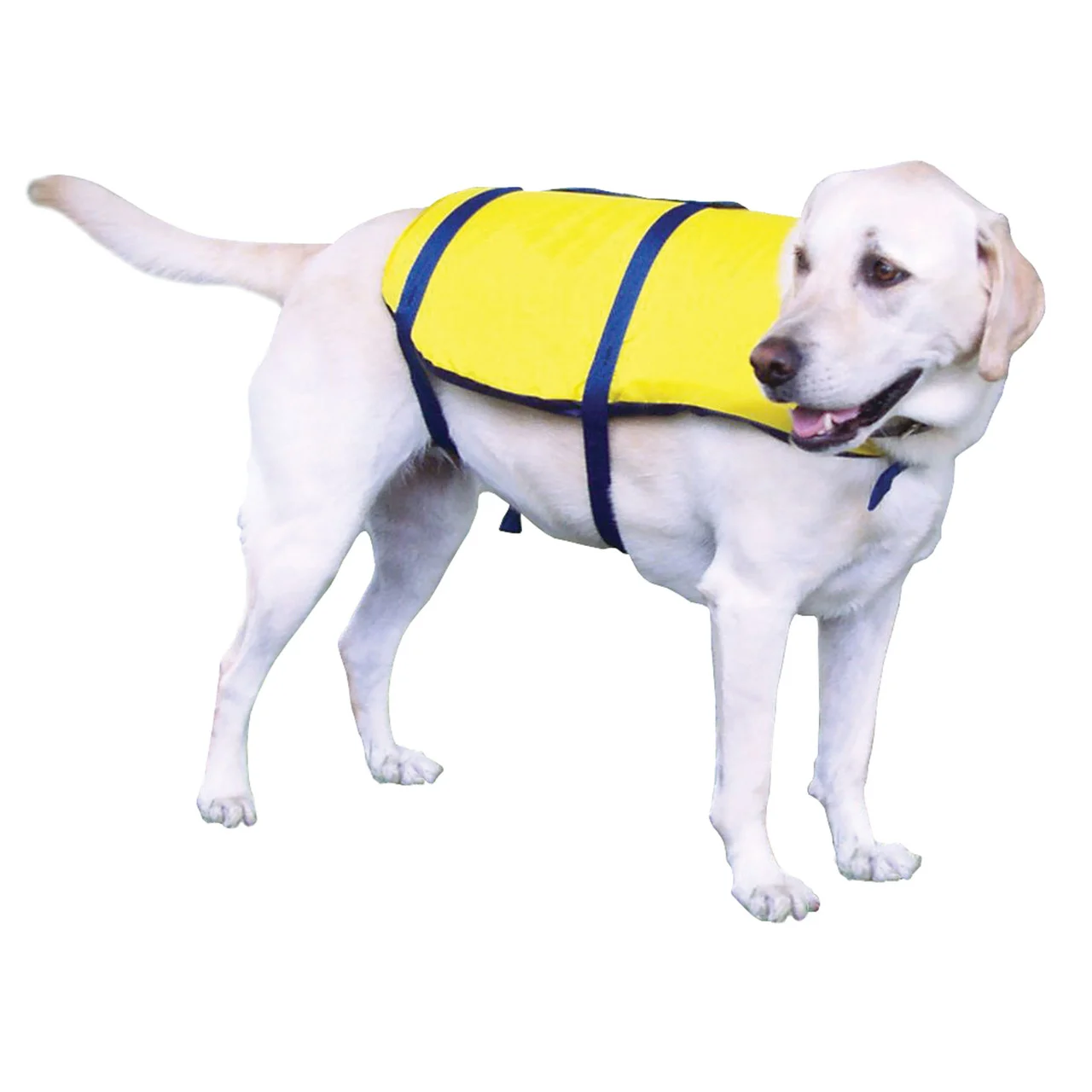 Onyx 157000-300-010-12 Nylon Pet Vest - Extra Small - 157000-300-010-12